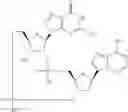 Fig. 644 - Cyclic di-nucleotide compounds as sting agonists