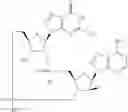 Fig. 648 - Cyclic di-nucleotide compounds as sting agonists