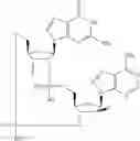 Fig. 688 - Cyclic di-nucleotide compounds as sting agonists