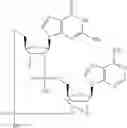 Fig. 693 - Cyclic di-nucleotide compounds as sting agonists