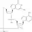 Fig. 698 - Cyclic di-nucleotide compounds as sting agonists