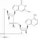 Fig. 703 - Cyclic di-nucleotide compounds as sting agonists