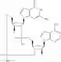 Fig. 704 - Cyclic di-nucleotide compounds as sting agonists