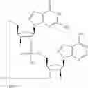 Fig. 707 - Cyclic di-nucleotide compounds as sting agonists