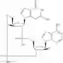 Fig. 712 - Cyclic di-nucleotide compounds as sting agonists