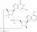 Fig. 714 - Cyclic di-nucleotide compounds as sting agonists