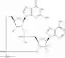 Fig. 724 - Cyclic di-nucleotide compounds as sting agonists