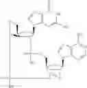 Fig. 763 - Cyclic di-nucleotide compounds as sting agonists