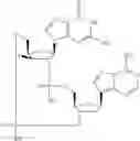 Fig. 769 - Cyclic di-nucleotide compounds as sting agonists