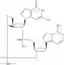 Fig. 770 - Cyclic di-nucleotide compounds as sting agonists