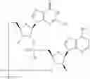 Fig. 776 - Cyclic di-nucleotide compounds as sting agonists