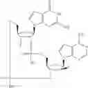 Fig. 788 - Cyclic di-nucleotide compounds as sting agonists