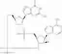 Fig. 793 - Cyclic di-nucleotide compounds as sting agonists
