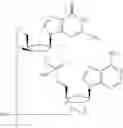Fig. 799 - Cyclic di-nucleotide compounds as sting agonists