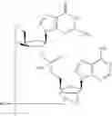 Fig. 801 - Cyclic di-nucleotide compounds as sting agonists