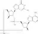 Fig. 802 - Cyclic di-nucleotide compounds as sting agonists