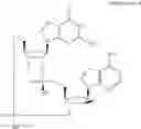 Fig. 804 - Cyclic di-nucleotide compounds as sting agonists