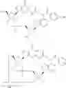 Fig. 824 - Cyclic di-nucleotide compounds as sting agonists
