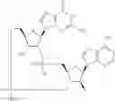 Fig. 840 - Cyclic di-nucleotide compounds as sting agonists