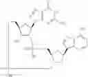 Fig. 841 - Cyclic di-nucleotide compounds as sting agonists