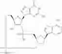 Fig. 842 - Cyclic di-nucleotide compounds as sting agonists