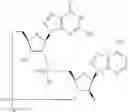Fig. 844 - Cyclic di-nucleotide compounds as sting agonists
