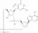 Fig. 845 - Cyclic di-nucleotide compounds as sting agonists