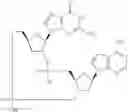 Fig. 853 - Cyclic di-nucleotide compounds as sting agonists