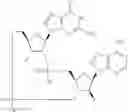 Fig. 857 - Cyclic di-nucleotide compounds as sting agonists