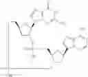 Fig. 861 - Cyclic di-nucleotide compounds as sting agonists