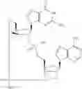 Fig. 862 - Cyclic di-nucleotide compounds as sting agonists