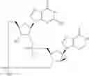 Fig. 875 - Cyclic di-nucleotide compounds as sting agonists