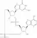 Fig. 880 - Cyclic di-nucleotide compounds as sting agonists