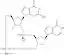 Fig. 887 - Cyclic di-nucleotide compounds as sting agonists