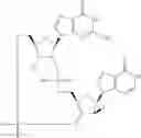 Fig. 891 - Cyclic di-nucleotide compounds as sting agonists