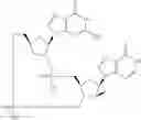 Fig. 892 - Cyclic di-nucleotide compounds as sting agonists