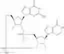 Fig. 894 - Cyclic di-nucleotide compounds as sting agonists