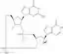 Fig. 895 - Cyclic di-nucleotide compounds as sting agonists
