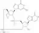 Fig. 896 - Cyclic di-nucleotide compounds as sting agonists
