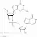 Fig. 901 - Cyclic di-nucleotide compounds as sting agonists