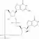 Fig. 902 - Cyclic di-nucleotide compounds as sting agonists