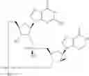 Fig. 903 - Cyclic di-nucleotide compounds as sting agonists