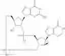 Fig. 904 - Cyclic di-nucleotide compounds as sting agonists
