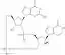 Fig. 905 - Cyclic di-nucleotide compounds as sting agonists