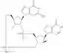 Fig. 906 - Cyclic di-nucleotide compounds as sting agonists