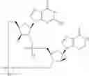 Fig. 911 - Cyclic di-nucleotide compounds as sting agonists