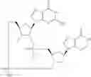 Fig. 912 - Cyclic di-nucleotide compounds as sting agonists