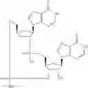 Fig. 913 - Cyclic di-nucleotide compounds as sting agonists