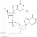 Fig. 916 - Cyclic di-nucleotide compounds as sting agonists