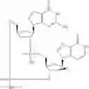 Fig. 921 - Cyclic di-nucleotide compounds as sting agonists